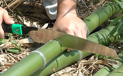 bamboo cutting