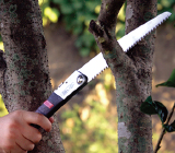 Pruning saw